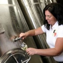 medarbetare häller upp vin på vingård